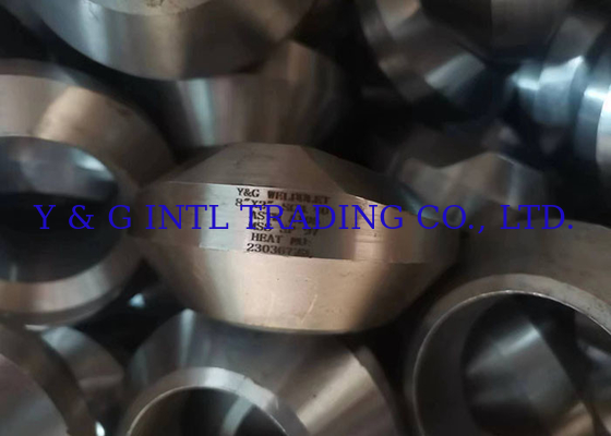 Stainless Steel Threaded Flange Connection Fittings And Tubesheet Flange Including LF Flanges